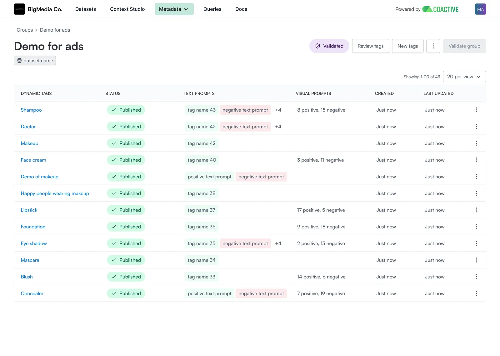VLA Dynamic Tags validation view
