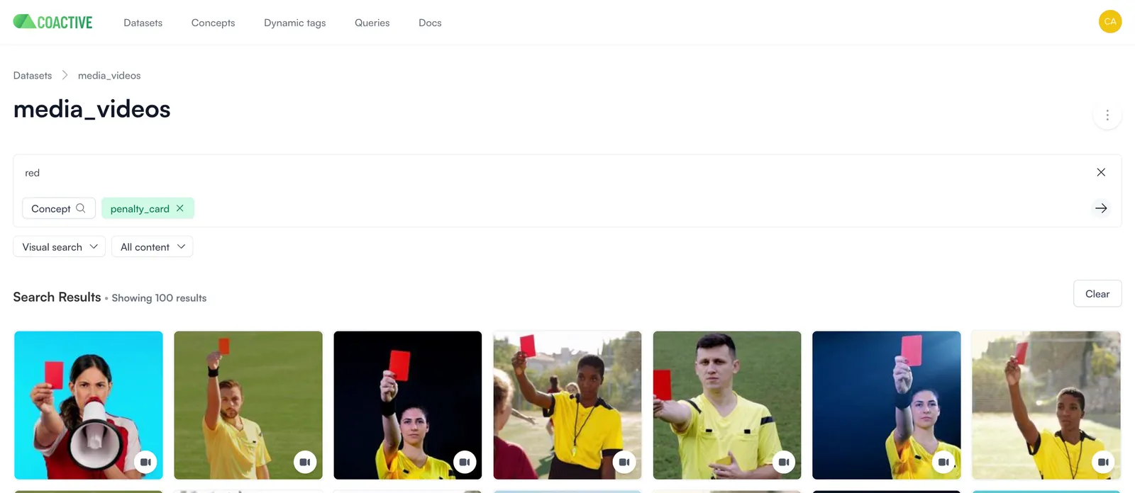 Overview of the Coactive semantic search feature