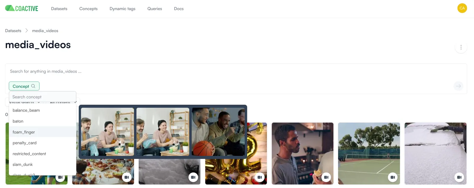 Overview of the Coactive semantic search feature