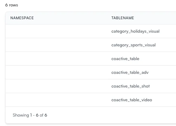 Overview of the Coactive query engine